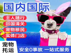 昆冈空运代理国际宠物托运 【国